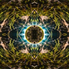 Entheogenic Planet
