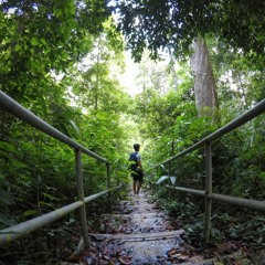 I'd love to let you go - acapella