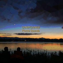 Flume Sounds