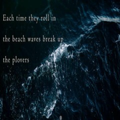 Each Time They Roll In The Beach - Waves Break Up The Plovers (Naviarhaiku 293)