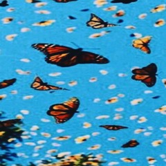 sippen (ft. ZURI! x DiorDev)