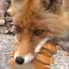 Infinity Train Grid Car (wip)