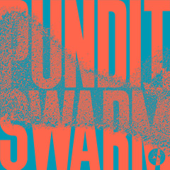 Pundit - Swarm [FREE DOWNLOAD]