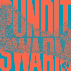 Pundit - Swarm/Shake That [FREE DOWNLOAD]