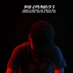 Skinny G - Big Chungus II (feat. Lil African Mom, Erlock, Ayedoubleyou, Skinny Sis & Big Fin)