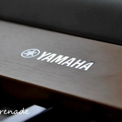 Winter Serenade - Yamaha