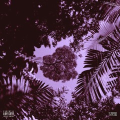 Jungle Prod. Eldinjusic