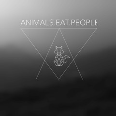 The pilot in this trip to lylat is a fox!