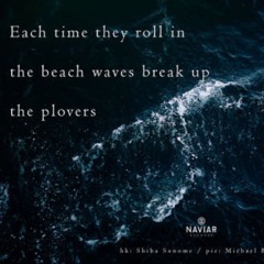 naviarhaiku293: each time they roll in