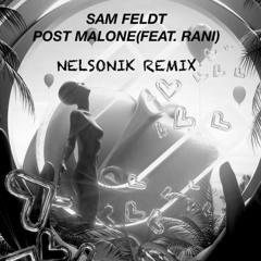 Sam Feldt - Post Malone ft. RANI (NELSONIK Remix)