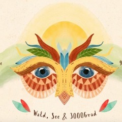 Vitus Soska - 3000Grad Festival 2019 - Shiff Ahoi