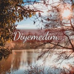 Burak Toprak - Diyemedim
