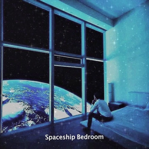 space shuttle bedroom