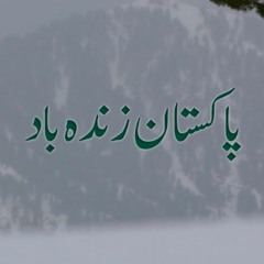 Har Dil Ki Awaaz | Pakistan Zindabad - Sahir Ali Bagga