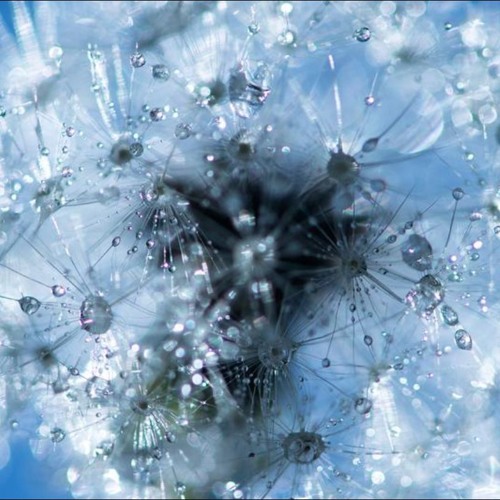 SonntagsArbeit (CircuitKaossSampleWorx)