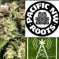 Ras Kaya Paul - Pacific NW Roots 03/29/2019