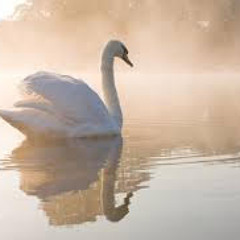 Eng - Day5 - The Source of Purity - Transparent Intent And Purity