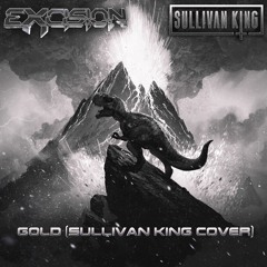 Excision & Illenium - Gold (Stupid Love) ft. Shallows (Sullivan King Cover)