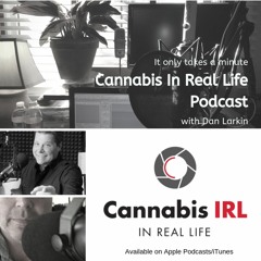 Cannabis In Real Life with Dan Larkin- 031