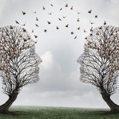 Praticando Juntos - Interdependência e Impermanência