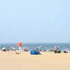 Beacher