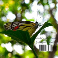 Prelude in B flat minor