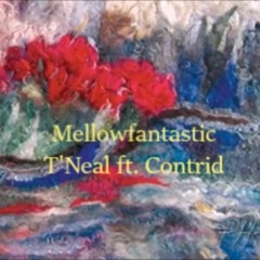 TNeal Ft Contrid - Mellowfantastic (Prod. By J Dilla)