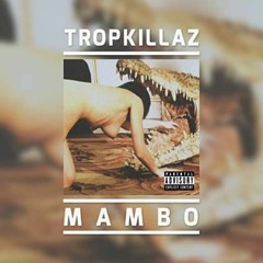 BEAT MAMBO - Mc MS - Tomando ( DJ NpcSize )