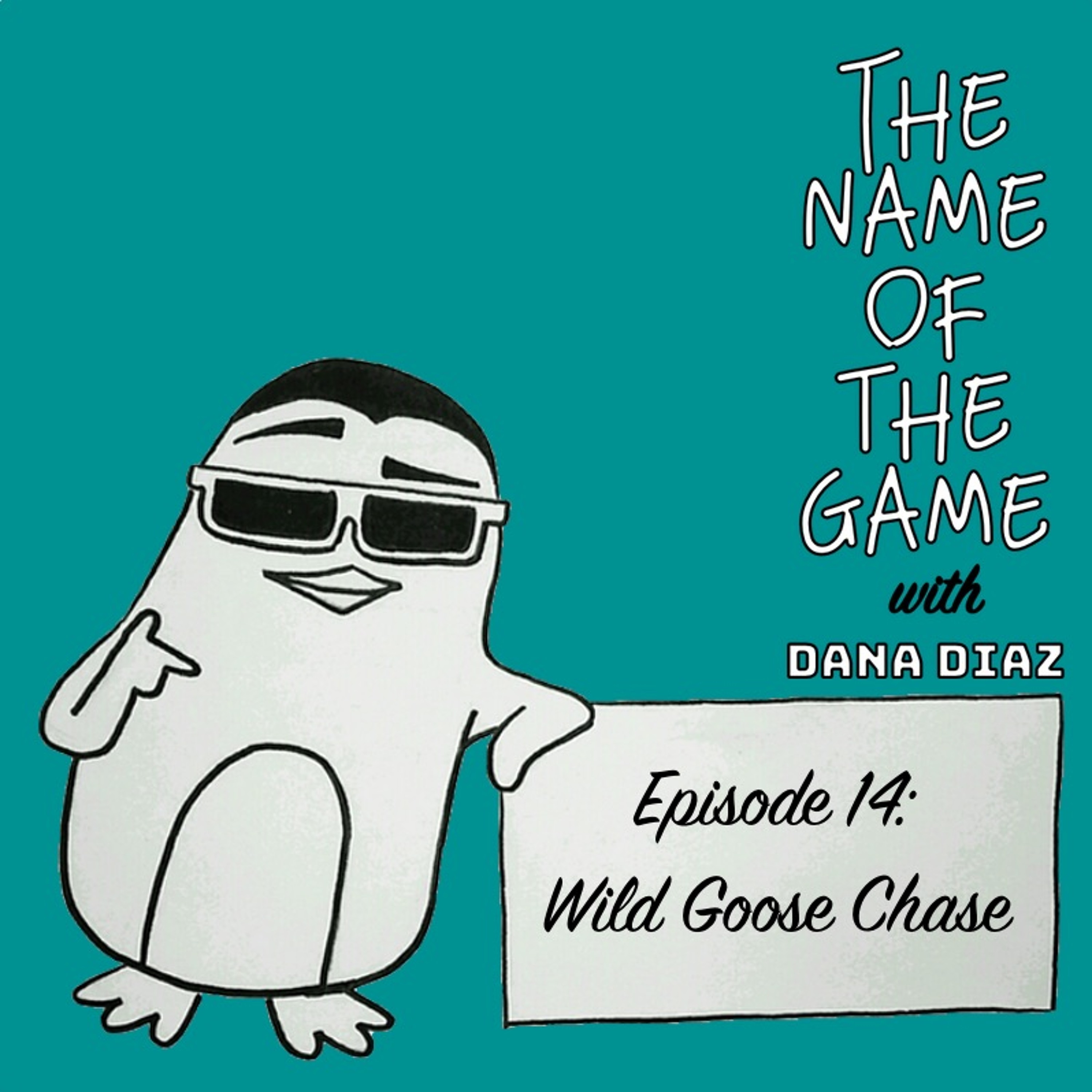 Episode 14: Wild Goose Chase episode artwork