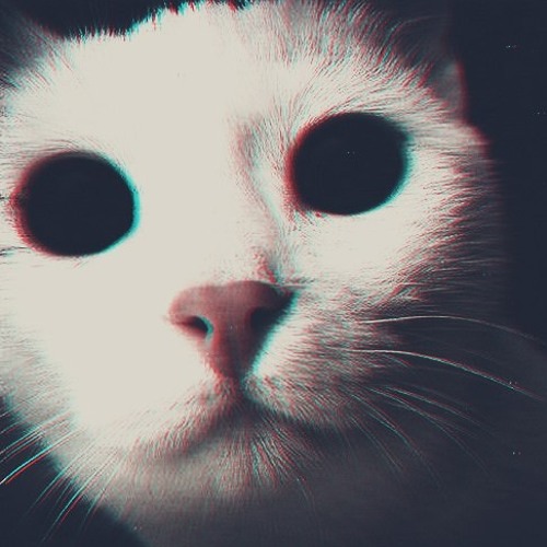 T1pson лепесток