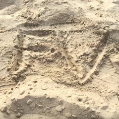 swimer x cheatz - squad