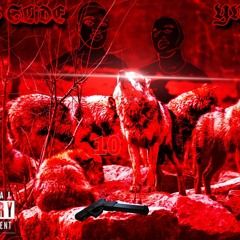 YM - GANGSLIDE