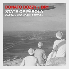Donato Dozzy & BR1 - State Of Parola(Captain Cosmotic Rework)//Free Download