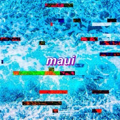 Maui (feat. Wilkin605 & Tdrop) [Prod. Thundaa]