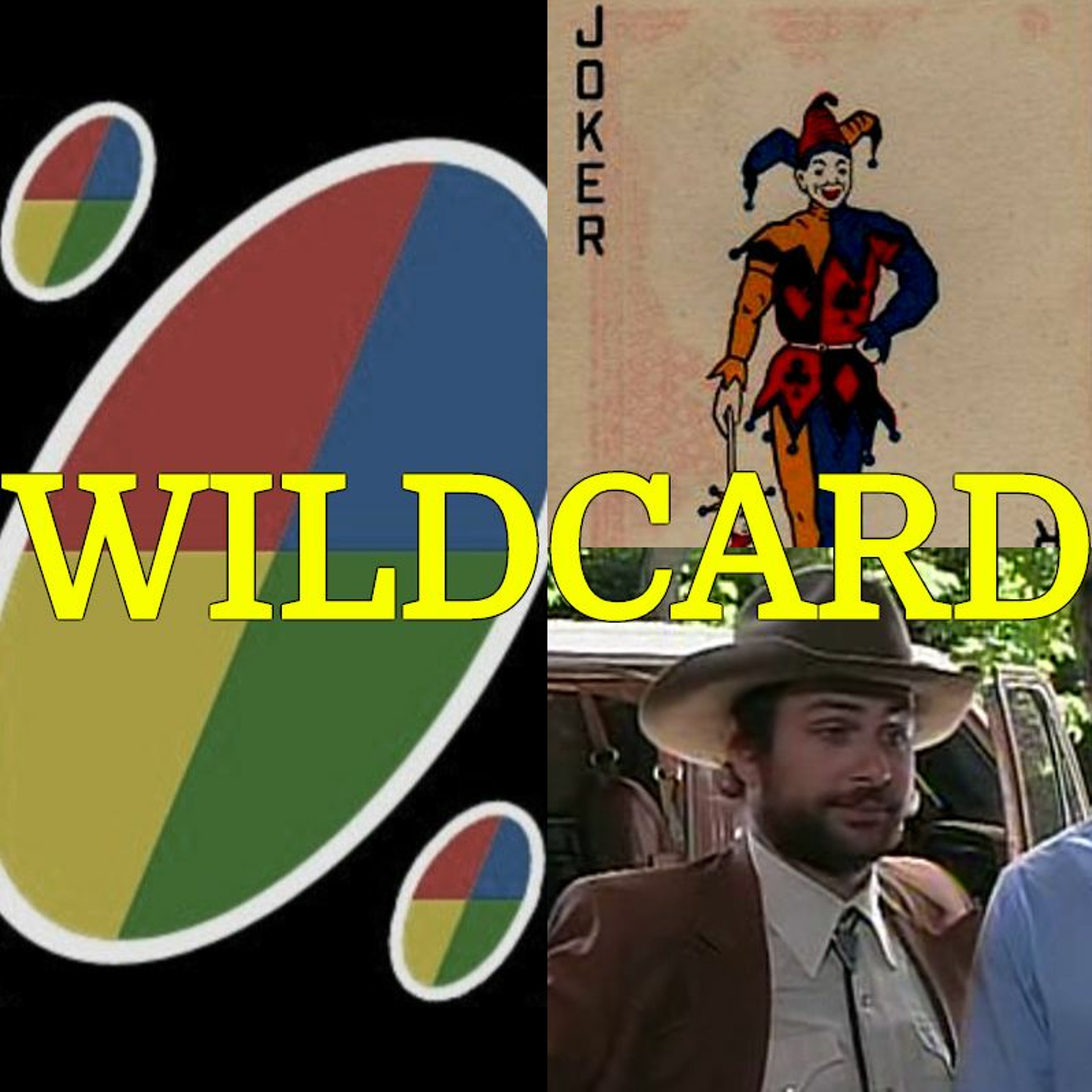 038 - Wildcard