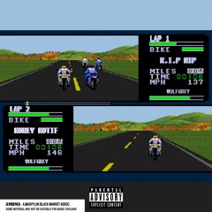 DAYTONA 200 -  Lap 2 (MONEY MOTIF)