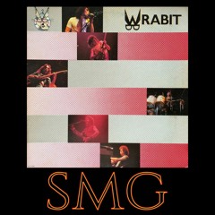 Wrabit - Anyway, Anytime | SMG Guitar Cover |