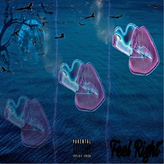 Feel Right feat. DaPrie