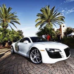 CALIFORNIA PALM TREES