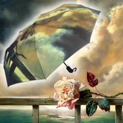 x BunnDunn (GoodDays & BadDays)