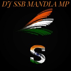डाल_डाल_पर_सोने_की_चिड़िया_वो_भारत_देश_है_मेरा_🇮🇳Voice_By_Anil_Nagori_Dj_SSB_Mandla