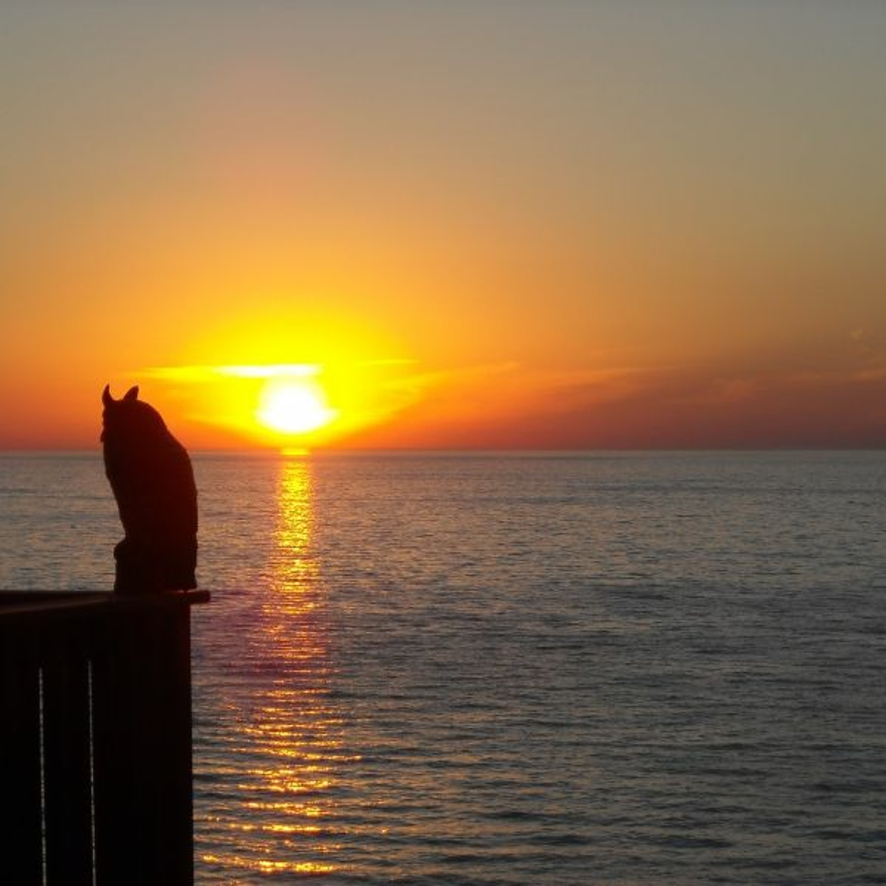 Reflekt feat. Delline Bass - Need To Feel Loved (J.Young Dreamstate Mix) thumbnail