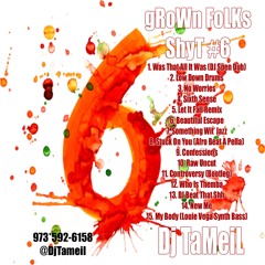 Grown Folks Shyt #6- Dj Tameil