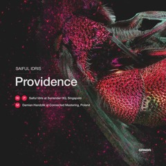 Saiful Idris - Providence [SRNDR19004]