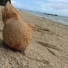 PCI boys (REMIX) Elvis X Ereky X Drake X Jenno X Obich X Anisto