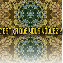 C'est Ca Que Vous Voulez ?