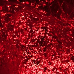 Der vielfältig unerschöpfliche Weg aus tausend Begegnungen und Verwandlungen der Undulipodien