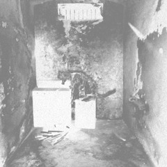 Lexo - everything i am