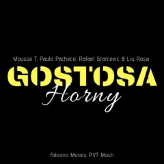 Mousse T, Paulo Pacheco, Rafael S. & Liu R. - Gostosa Horny (Fabiano Morais Mashup) FREE Download