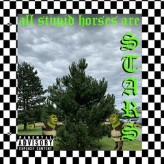 100 Gecs - All Stupid Horses Are Stars Mashup ( Pls See This I Luv U)